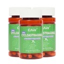 CAW Nano Cycloastragenol 98% 5 mg 30 Caps + 抗衰老 Telomere Plus → 非 GMO, 在美国制造 → 更好的吸收 → 肠道-肠道 Capsules 3瓶