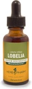 用于肌肉骨骼系统支持的草药认证有机Lobelia液体提取 -- -- 1 Ounce(DLOBEL01)