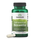 Swanson 双强 Boswellia Serrata Ayurvedic 积极成年人寻求灵活性和流动性支助联合补编 -- -- 800 mg(60 capsules)