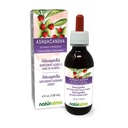 Naturalma Ashwagandha (Wisania somnifera) 根无酒精小叮当 - 4 fl oz 滴水液提取 - 草药补充 - Vegan