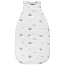 Woolino Merino Wool 终极婴儿睡眠袋 - 4季婴儿可穿戴布蘭特 - Two-Way Zipper 调整可睡袋 婴儿和托德勒斯 - 通用尺寸(2-24个月) - 彩虹