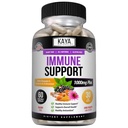 Kaya Naturals Elderberry Immune 支持,用于成人维生素、Probiotics和Turmeric 1000mg Immune System Booster Sambucus Capsules的含锌和维生素C的老莓-60个计数