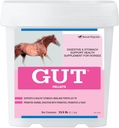 (原始内容存档于2018-09-21). GutTM Pelles – 健康Gut Probiotics for Horse – Equine Prebiotic & Probiotic Powder – 马胃补充 13.5磅).