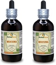 穆库纳(英语:Mucuna Pruriens) 丁香,有机干籽液体提取物(Brand name:Herbalterra, Proudly in USA) 2x4 fl.oz(2x120 ml) 植物志 植物志 植物志 植物志 植物志 植物志 植物志