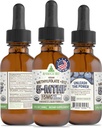RawGuru L-Methylfolate 15 mg + 维生素 B12 - 有机维冈 甲基化B12 配有跟踪矿物 - 纳米加工和增强液态 - 300 services Vegan Drops每30毫升,包装为1