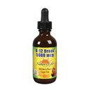自然生命 B-12 滴水 冰毒 4 oz(2 Fl Oz (Pack of 1))