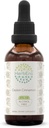 锡兰桂B60 无酒精草药萃取丁香,集中液滴自然桂(Cinnamomum Verum)(2 fl oz)