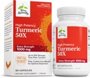Terry Rital Turmeric 50X - 大脑和心脏健康支持的饮食补充 - 帮助免疫健康的额外力量的图尔 - 非GMO补充 - 60 Capsules