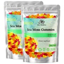 BIO VITALICA 海 摩斯 古米 – 与 Bladderwrack & Burdock Root – Wildcrafted Gel + 粉末 – Vegan, Keto, Non-GMO, Gluten-Free – 果实矿物 – Rich Gummys – 50 Counter (2 Pack).