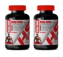 男子肌肉建材药丸 -- -- BRANCHED 链氨酸 -- -- BCAA 3000MG -- -- bcaa 列车和回收 -- -- 2瓶240片