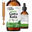 野生和有机的Gotu Kola 草药叮当 - 大脑支持 - Gotu Kola 液体提取滴 - Vegan,糖和无酒精 Centella Asiatica 补编 - 2 fl oz
