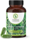 Moringa Premium 100%纯粉末罐头 - Vegan, GMO Free, Green Superfood, 含有钙, 镁, 维生素C, 维生素B3, 维生素A, 抗氧化剂 - 能量,代谢, 免疫支持 - 120 吨