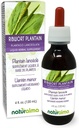 Naturalma Ribwort Plantain 或 Narrowleft Plantain (Plantago lanceolata) 无叶无酒精丁香 - 4 fl oz 滴水液提取 - 草药补充 - 维加恩