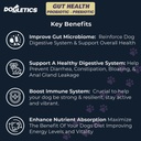 Gut Health Probiotic & Prebiotic - 90cmt支持胃微生物,预防消化问题,减少肛腺问题,改善免疫功能和整体能源