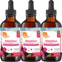 Zahler - Kidophilus Liquid Drops for Kids (4 Fl Oz) 认证的Kosher, 健康消化和免疫支持 - 水果扑灭性儿童亲生药滴补充剂(3包)