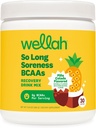Wellah So Long Soreness BCAA 粉末(Pina Colada Flawared) 30 位服务者- 水力综合体