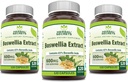 草药秘诀 Boswellia Serrata 提取物(65% Boswellic Acids) 600 mg Capsules 补充物 QQ N-GMO QQ Gluten Free (120 QQ 3 Pack)