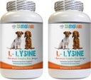 狗免疫治疗 - 狗 LYSINE 粉末 - 纯粉末形式 - 免疫系统支持 - Vet推荐 - l-Lysine for Dogs - 2 Bottle (16oz 453.6格拉姆)