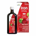 Hübner Hubner 铁活性液态铁供应+维生素C,成人和孩子的膳食补助,Vegan和Gluten-Free,水果火焰,500毫升瓶,50个服务