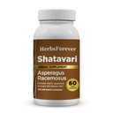 草本植物永久失效 Shatavari Capsules Premium Asparagus Racemosus 补充40% Saponins 750 mg 高概率公式 - 60 蔬菜 Capsules 草本植物健康与平衡支持 非GMO