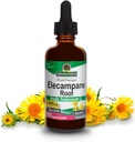大自然的回答 Elecampane 根 2 oz. 低有机酒精2000mg - 草药补充剂 - 非GMO & Kosher - 低酒精Gluten Free 100% Vegan - 2 FL Oz