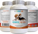 狗可嚼的抗生素 - 狗 PROBIOTICS - 坏气和过气溶液 - 口腔健康 - fos 公式 - 1瓶(60 治疗)