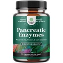 Natures Craft Pancreatin 消化酶促进消化酶健康 - Pancreative Enzyms 人类与脂肪卡布和蛋白质妇女和男子的Pancreative Enzymes - Protase Amylase & Lipase 消化酶 - 120ct