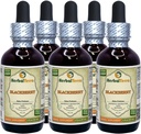 BlackBerry (Rubus fruticosus) 丁香,有机干叶液体提取物(Brand name:Herbalterra, Proudly made in USA) 5x2 fl.oz (5x60 ml) (英语).