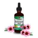 自然之答 Echinacea 解析 QQ支持健康免疫系统 QQ Vegan, Gluten无酒精,非GMO & Kosher 认证 QQ 2oz