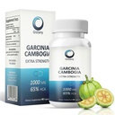 超强 65% HCA 纯 Garcinia ambogia 天然减重药丸,控制男女体重的胃口药丸补充剂