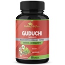Giloy Guduchi 抽取 Capsules & Ashwagandha, Licorice, 圣巴西尔 | Immune 助推器