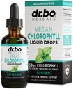 氯脂液滴体解毒剂 - Vegan液滴体解毒剂 - Odor清洁剂补充剂 能量和免疫支持剂 内除臭剂 体除臭剂补充剂 - 天然除臭剂水 2 oz