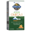 生活花园 Minami Algae Omega 3 Vegan DHA 大脑和眼部健康-Orange Flavor,500mg Plant Based DHA Omega-3 Vegan Algae Oil Plus Astaxanthin, No Afteraste, 60 易吞小软胶