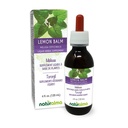 Naturalma Lemon Balm (Melissa officinalis) 叶无酒精小叮当 - 4 fl oz 滴水液提取 - 草药补充 - Vegan