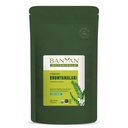 Banyan植物学 Bhumyamalaki Powder – 有机活体健康补充* – Phyllanthus spp. – 天然解毒和清洁活体* – 1/2英镑 – 非可持续转基因生物源头维干