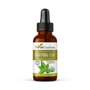Guayusa Leaf 提取脑聚焦 - 天然咖啡因 Stamina 饮料能源补充,咖啡替代品,压力缓解 - 有机Kosher 1oz瓶 - 草药良性