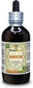 桑基勒(Sanicula Europaea) 丁香,干草液体提取物(Brand name:Herbalterra, Proudly Made in USA) 4 fl.oz(120毫升)