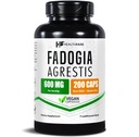 Fadogia Agrestis摘录 600mg → 200 Vegan Capsules → 草药补充剂 → Non-GMO, Gluten-Free → 美国制造
