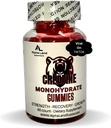 丙氨酸单水合物 Gummys - 5g - 30 services - Vegan Creatine Gummy Bears for Muscle growth, 肌肉恢复,工作恢复,脑健康 - 不装药阶段 - 不布洛廷