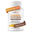 有机Turmeric & Ginger Capsules - 带有Ginger & BioPerine的Turmeric Crucumin,95% Crucuminoids - 联合、文摘、豁免支持、增加吸收的黑辣椒提取器