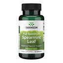 Swanson Spearmint Leaf (Mentha Spicata) - 全谱草药补充剂 支持消化性健康与小胃问题 - 支持健康与健康的自然公式 - (60 Capsules,400 mg 各自)