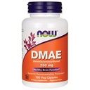 DMAE 250mg 100 维吉卡普