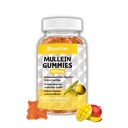 Mullein Gummys, 2000mg 有机穆莱因叶片提取法,配有 Quercetin, Bromelain & Vitamin D3, 穆莱因叶片提取法用于呼吸, 天然肺清洁, 改进 Appetite, Vegan, Non-GMO, 1 Pack