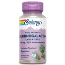 SOLARAY Arabinogalactan, Larch树提取器, 300mg → 健康胶体和免疫系统预生纤维支持 → 60 Veg Caps