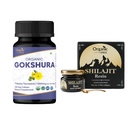 ORGANIC SPREE Gokshura & Himalayan Shilajit – USDA Organic Tribulus Terrestris 120 Tablets & 20g Resin with 85+ Trace Minerals – Supports Energy & Immune Health*