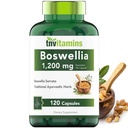 tnvitamins Boswellia 提取卡普尔斯,120 Counter |1200 mg per Capsule → 65% Boswellic 酸+ 10:1 集中抽取 | Boswellia Serrata → 联合和流动支持*