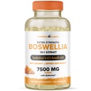 Boswellia Serrata 提取联合支助补编,由工厂提供动力,其中65%为高可能性的Boswellic酸,配有生物乙烯,支持豁免、流动和灵活性,120为Vegan Capsules