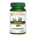 纯营养 Boswellia Serrata 600 mg → 60 Capsules → 15:1 提取标准化为65% Boswellic酸 → 非GMO 草药补充剂