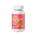 具有G-FOS的超级Boswellia Serrata - 98%的Boswellic酸 - 支持联合和流动健康 - 180 Vegan Capsules,180天供应