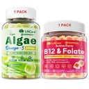 罐头:藻类 Omega 3 Gummys 1 Pack & Methy B12 + L-Methyfolate Gummys 1 Pack